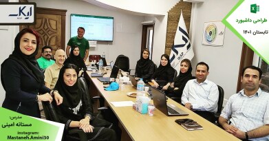 mastaneh-amini-excel-dashboard-organizational-training-05.jpg