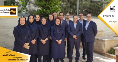 mastaneh-amini-powerbi-organizational-training-07.jpg
