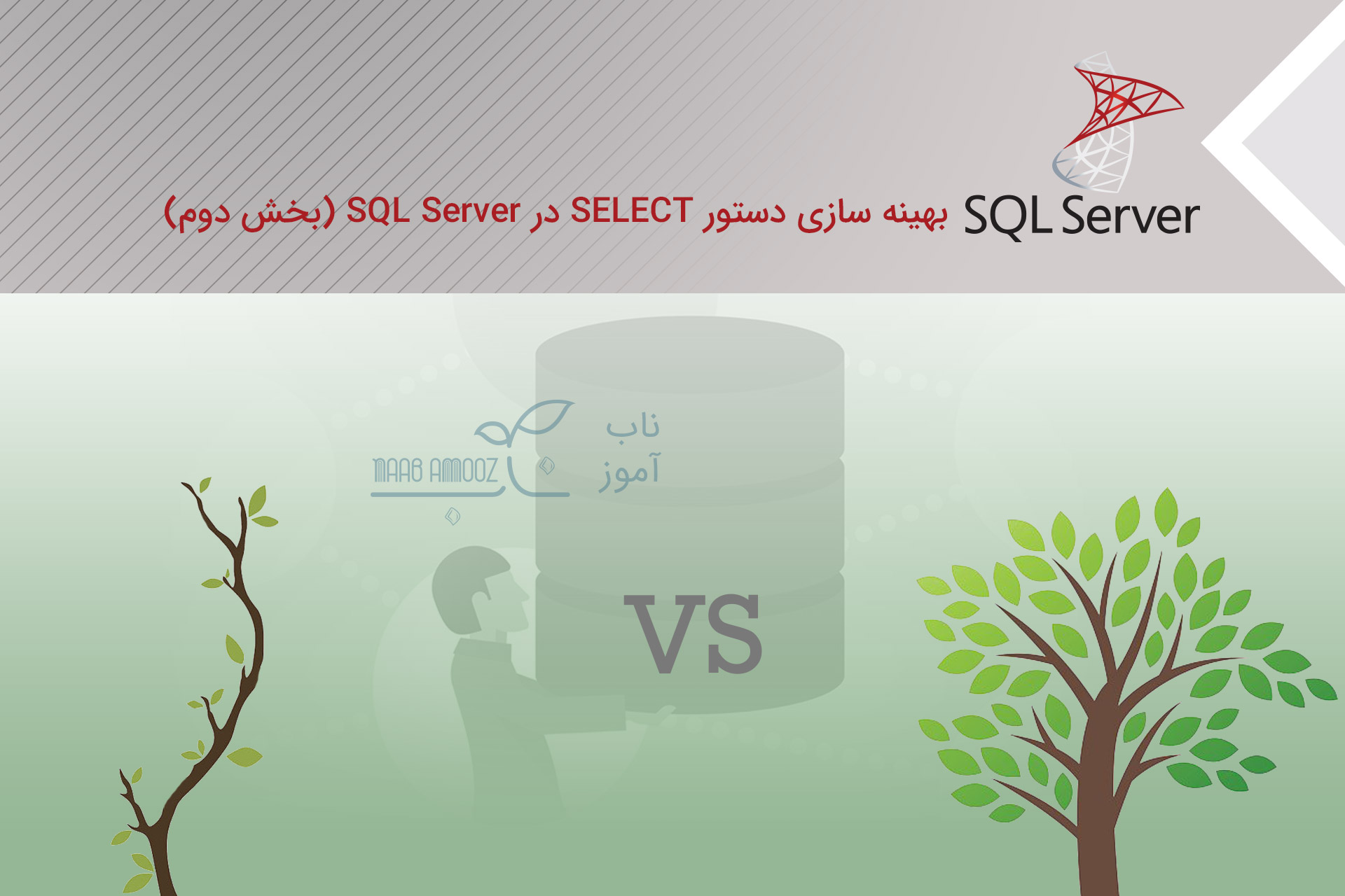 بهینه سازی دستور SELECT در SQL Server (بخش دوم)