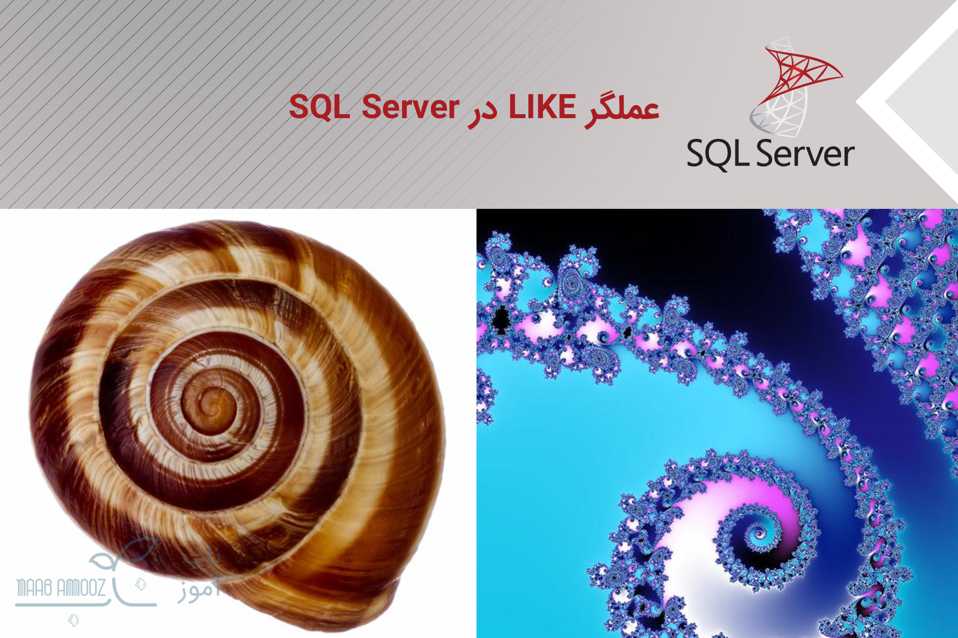 عملگر LIKE در SQL Server