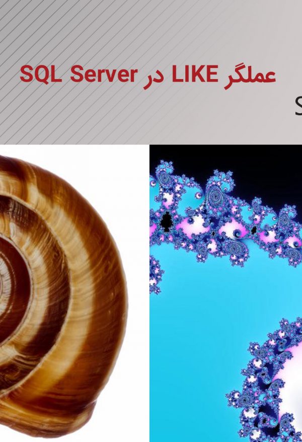 عملگر LIKE در SQL Server